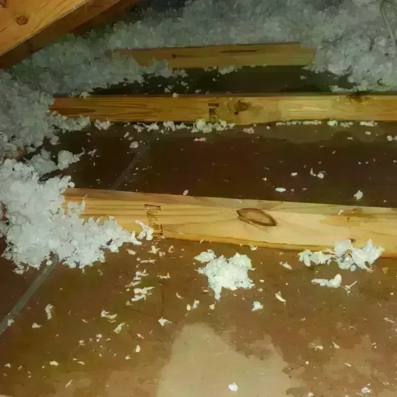 Attic Water Damage in Salix, PA